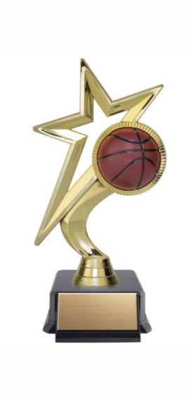 Basketball Meteor Resin Trophy