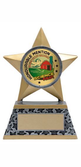 Rock Star Resin Trophy