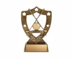 Star Shield Resin Trophy