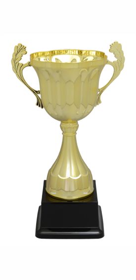 Lorenzo Cup